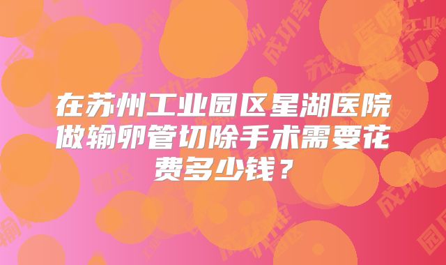 在苏州工业园区星湖医院做输卵管切除手术需要花费多少钱?