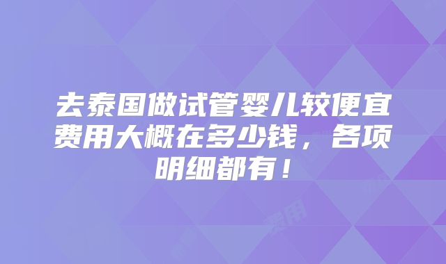 去泰国做试管婴儿较便宜费用大概在多少钱，各项明细都有！
