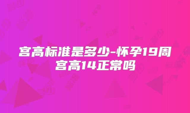 宫高标准是多少-怀孕19周宫高14正常吗