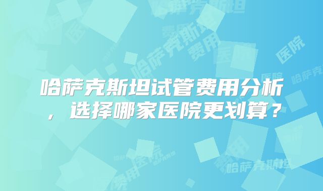 哈萨克斯坦试管费用分析，选择哪家医院更划算？