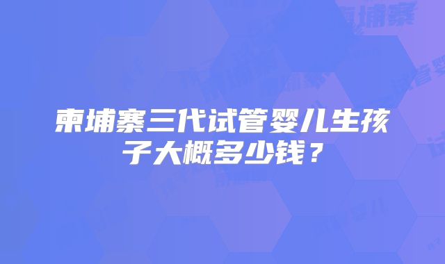 柬埔寨三代试管婴儿生孩子大概多少钱？