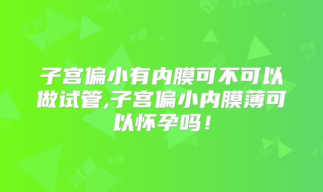 子宫偏小有内膜可不可以做试管,子宫偏小内膜薄可以怀孕吗!
