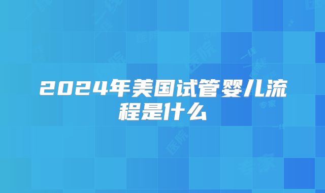 2024年美国试管婴儿流程是什么
