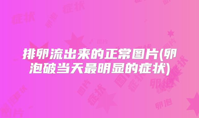 排卵流出来的正常图片(卵泡破当天最明显的症状)