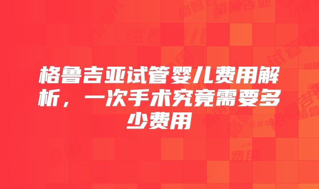 格鲁吉亚试管婴儿费用解析，一次手术究竟需要多少费用