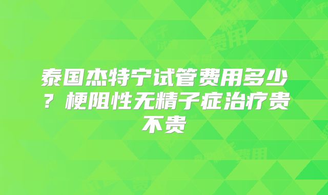 泰国杰特宁试管费用多少？梗阻性无精子症治疗贵不贵