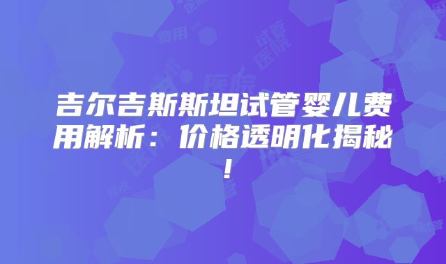 吉尔吉斯斯坦试管婴儿费用解析:价格透明化揭秘!