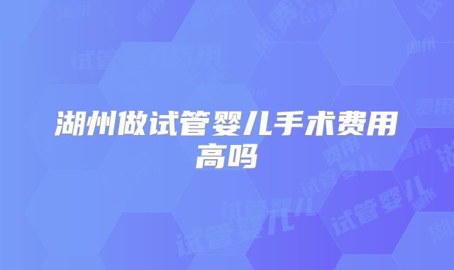 湖州做试管婴儿手术费用高吗