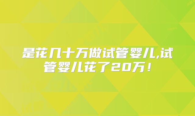 是花几十万做试管婴儿,试管婴儿花了20万!