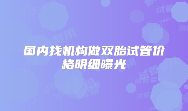 国内找机构做双胎试管价格明细曝光