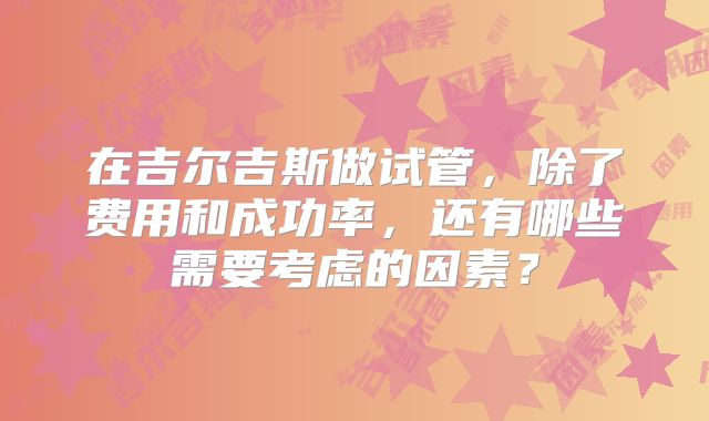 在吉尔吉斯做试管,除了费用和成功率,还有哪些需要考虑的因素?