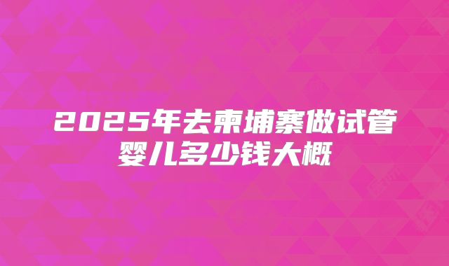 2025年去柬埔寨做试管婴儿多少钱大概