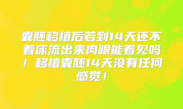 囊胚移植后若到14天还不着床流出来肉眼能看见吗！移植囊胚14天没有任何感觉！