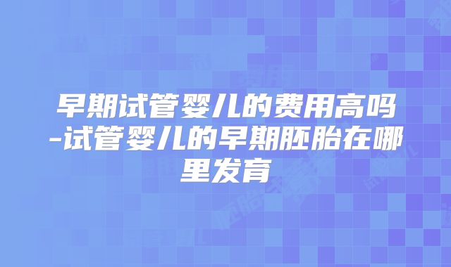 早期试管婴儿的费用高吗-试管婴儿的早期胚胎在哪里发育