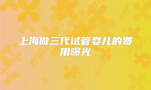 上海做三代试管婴儿的费用曝光