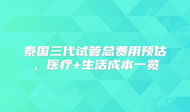 泰国三代试管总费用预估，医疗+生活成本一览