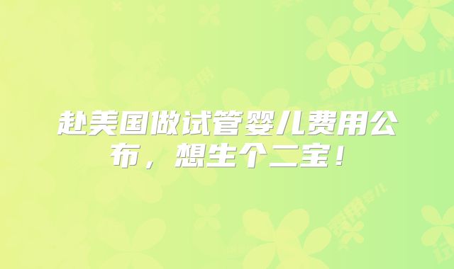 赴美国做试管婴儿费用公布，想生个二宝！