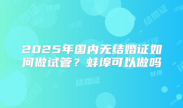 2025年国内无结婚证如何做试管?蚌埠可以做吗