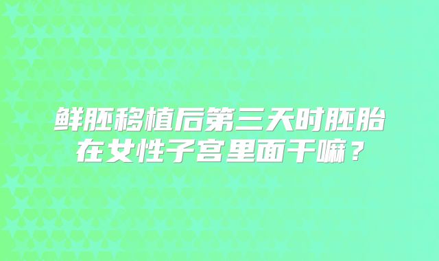 鲜胚移植后第三天时胚胎在女性子宫里面干嘛？