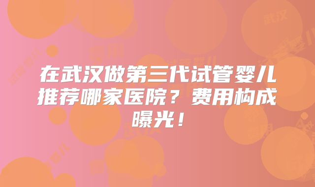 在武汉做第三代试管婴儿推荐哪家医院？费用构成曝光！