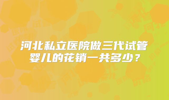 河北私立医院做三代试管婴儿的花销一共多少？