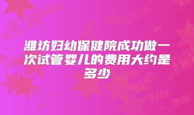 潍坊妇幼保健院成功做一次试管婴儿的费用大约是多少