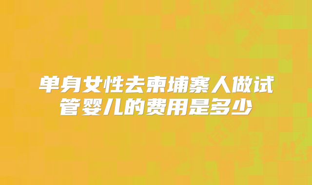 单身女性去柬埔寨人做试管婴儿的费用是多少