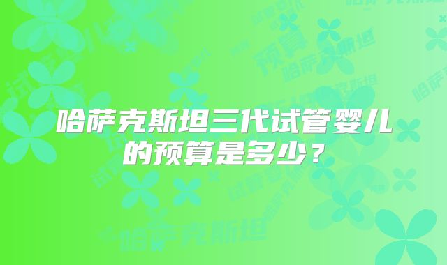哈萨克斯坦三代试管婴儿的预算是多少？
