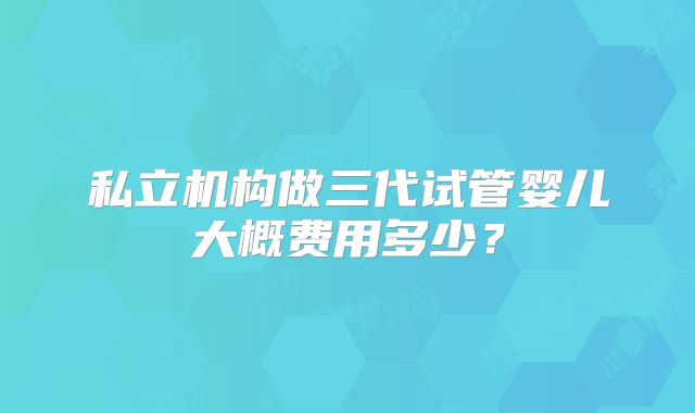 私立机构做三代试管婴儿大概费用多少?