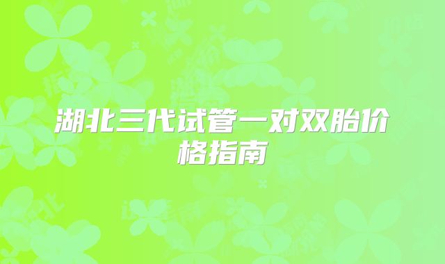 湖北三代试管一对双胎价格指南