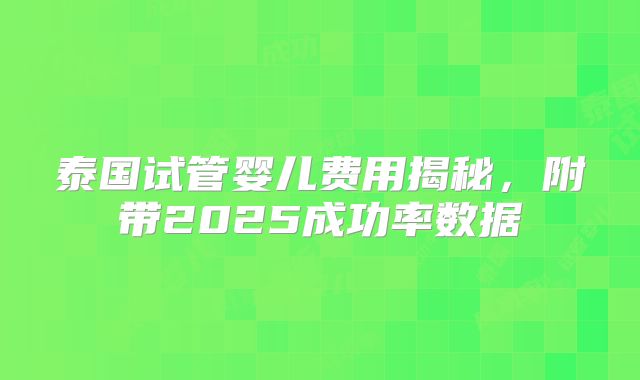 泰国试管婴儿费用揭秘,附带2025成功率数据