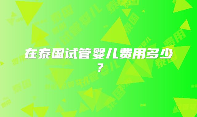 在泰国试管婴儿费用多少？