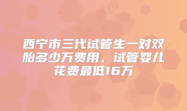 西宁市三代试管生一对双胎多少万费用，试管婴儿花费最低16万