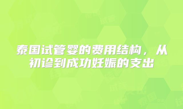 泰国试管婴的费用结构，从初诊到成功妊娠的支出