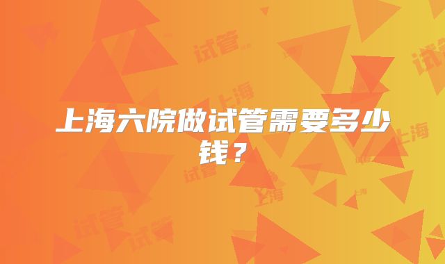上海六院做试管需要多少钱？