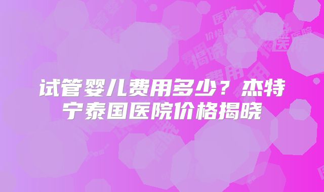 试管婴儿费用多少？杰特宁泰国医院价格揭晓