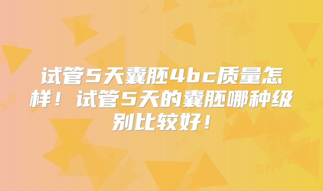 试管5天囊胚4bc质量怎样！试管5天的囊胚哪种级别比较好！