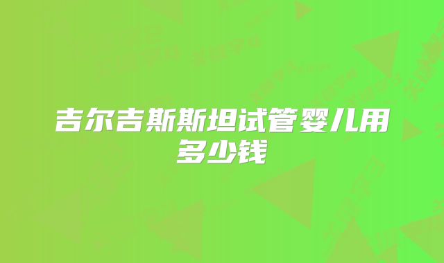 吉尔吉斯斯坦试管婴儿用多少钱