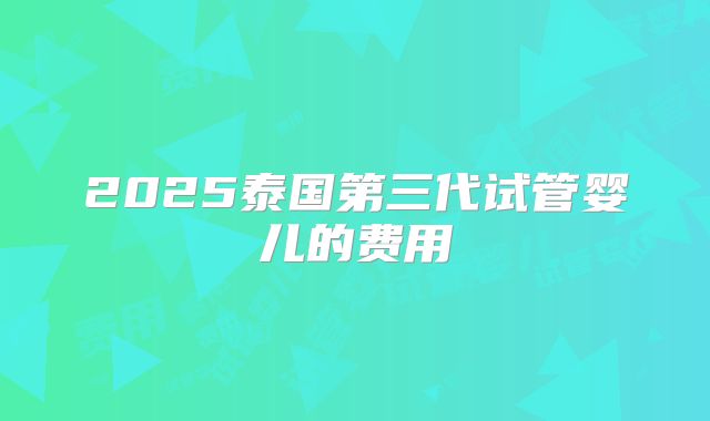 2025泰国第三代试管婴儿的费用