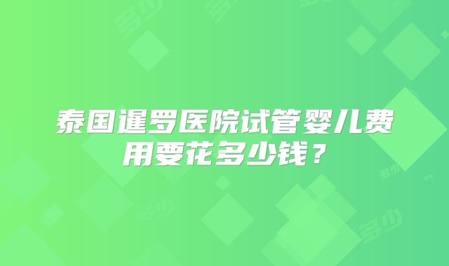 泰国暹罗医院试管婴儿费用要花多少钱?