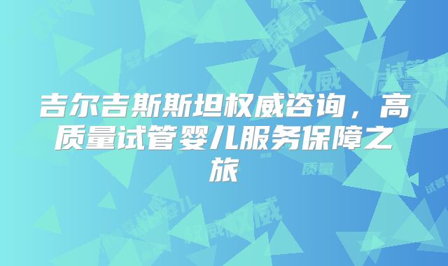 吉尔吉斯斯坦权威咨询,高质量试管婴儿服务保障之旅