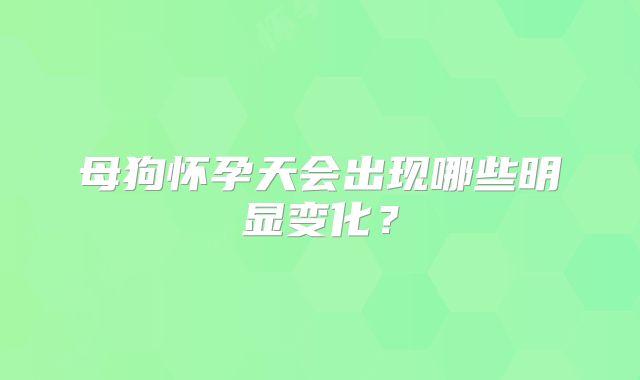 母狗怀孕天会出现哪些明显变化?