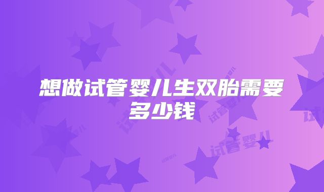 想做试管婴儿生双胎需要多少钱