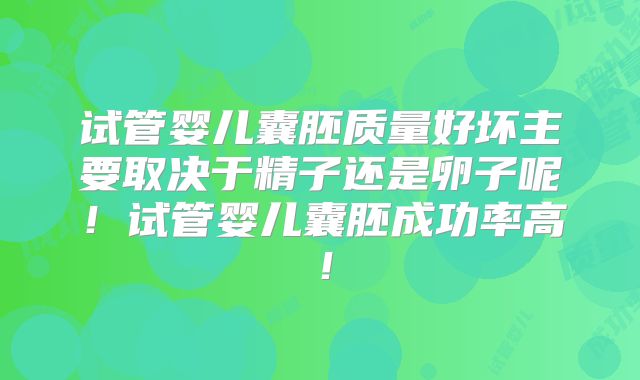 试管婴儿囊胚质量好坏主要取决于精子还是卵子呢！试管婴儿囊胚成功率高！