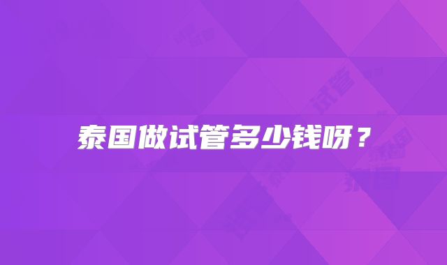 泰国做试管多少钱呀?