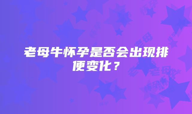 老母牛怀孕是否会出现排便变化？