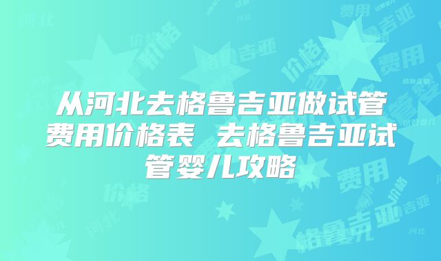从河北去格鲁吉亚做试管费用价格表 去格鲁吉亚试管婴儿攻略