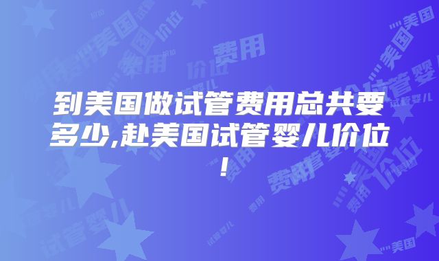 到美国做试管费用总共要多少,赴美国试管婴儿价位!