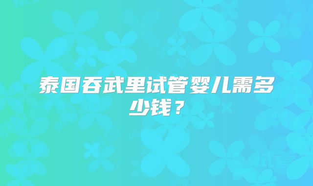 泰国吞武里试管婴儿需多少钱？