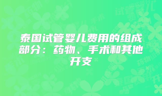 泰国试管婴儿费用的组成部分：药物、手术和其他开支